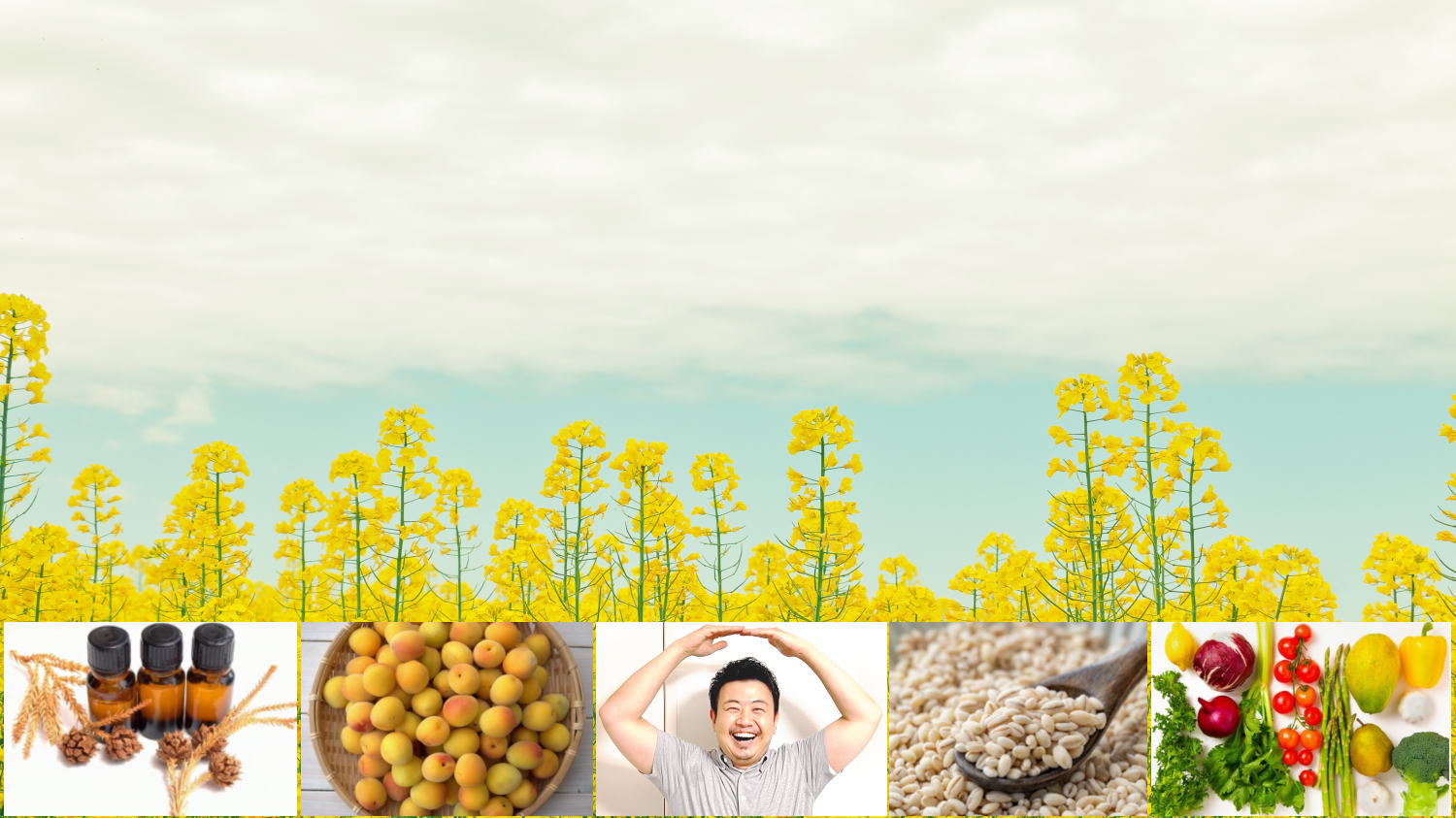 �������������ʔ̃O�b�Y����i�A�������ߐH�i�𖳗��Ńv���[���g���Ă��܂�